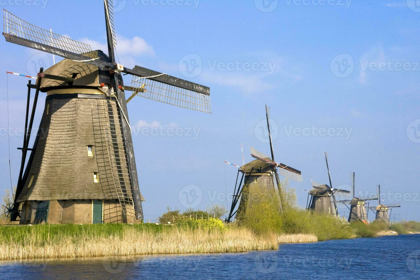 Nederland kleurrijk land van windmolens en tulpen bloemen foto