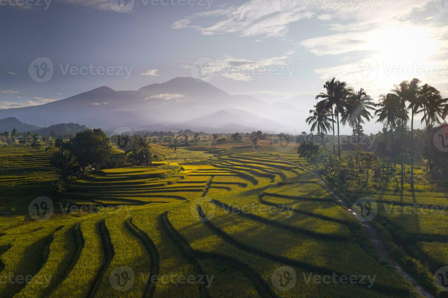 mooi ochtend- visie Indonesië panorama landschap rijstveld velden met schoonheid kleur en lucht natuurlijk licht foto