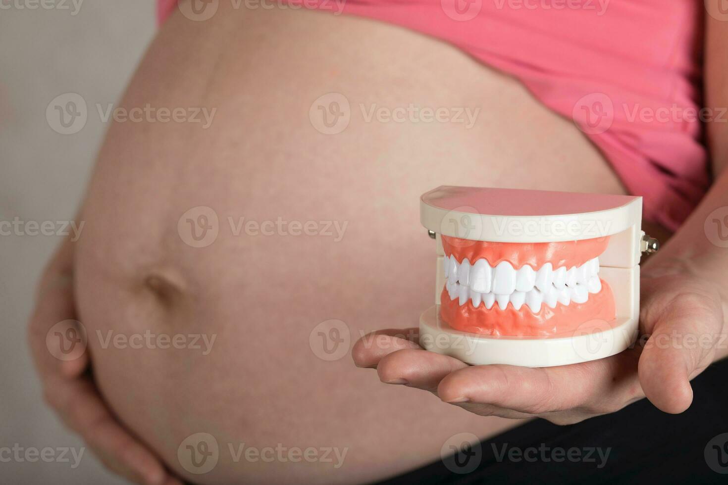jong zwanger vrouw houdt plastic model- van menselijk kaak. foto