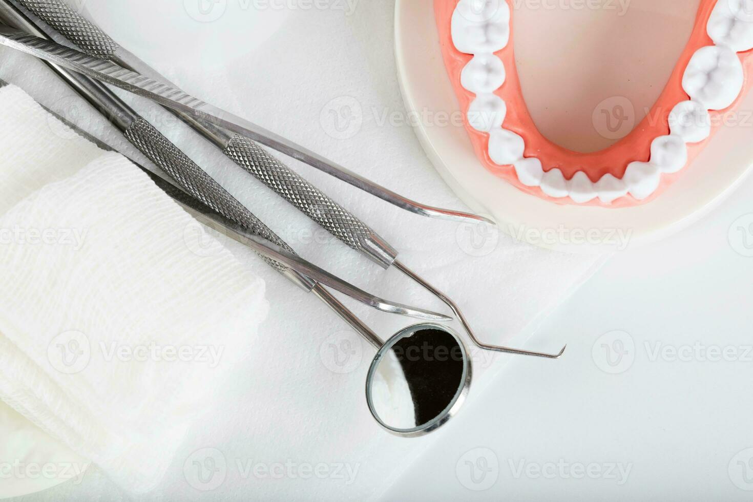 tanden en kaak model. detailopname foto