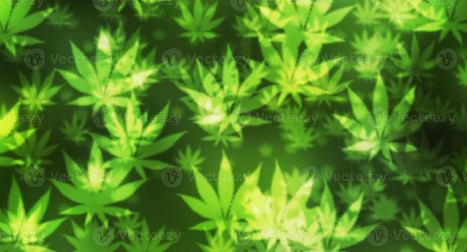 groene marihuana onscherpe achtergrond foto