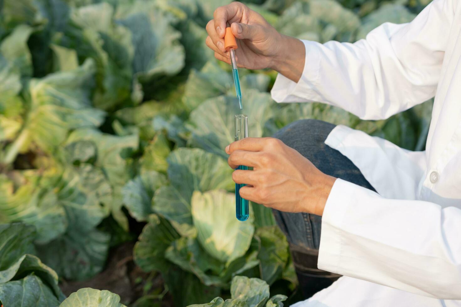 wetenschapper controleren chemisch voedsel residuen Aan buitenshuis. controle experts inspecteren kwaliteit van fruit, groenten. laboratorium, gevaren, rohs, vind verboden stoffen, besmetten, microscoop, microbioloog foto