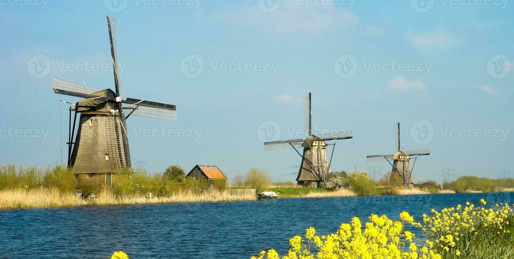 Nederland kleurrijk land van windmolens en tulpen bloemen foto