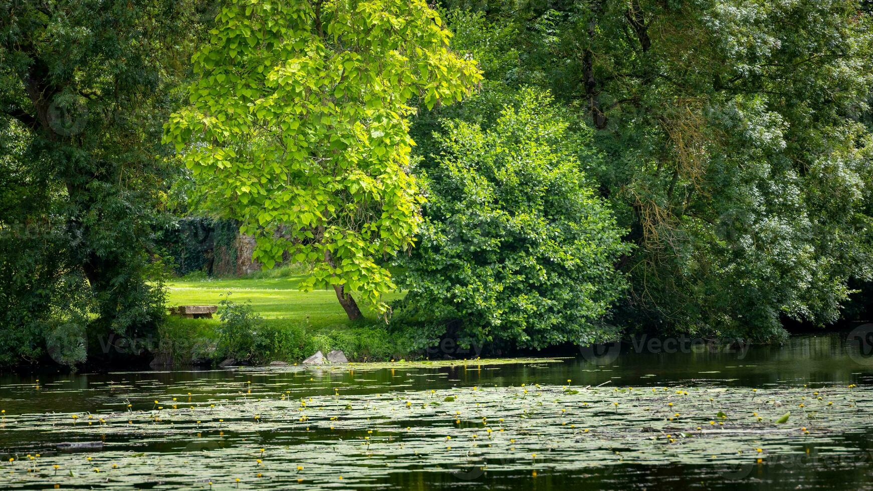 Woud in de buurt clisson dorp in Frankrijk foto