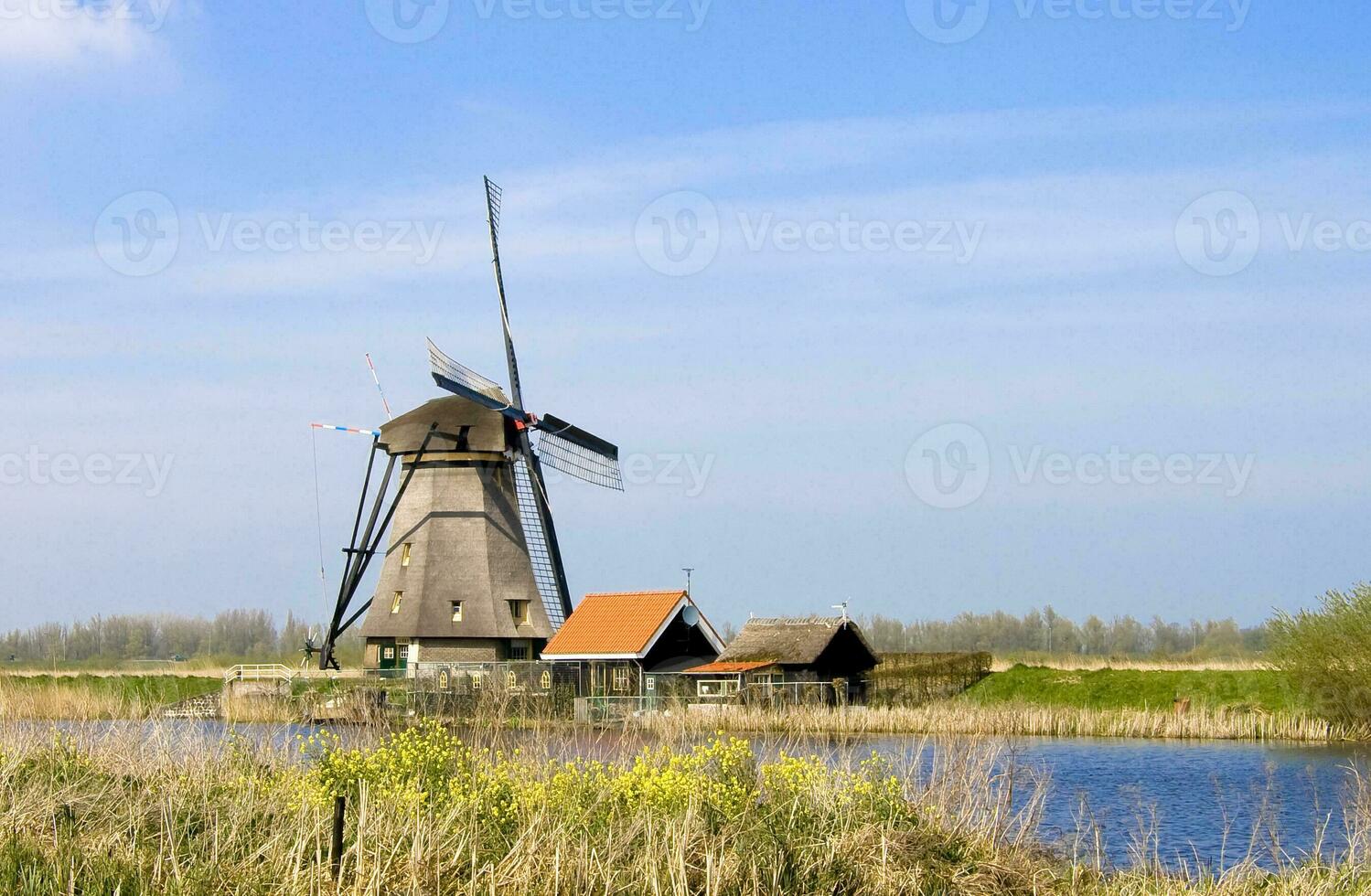 Nederland kleurrijk land van windmolens en tulpen bloemen foto