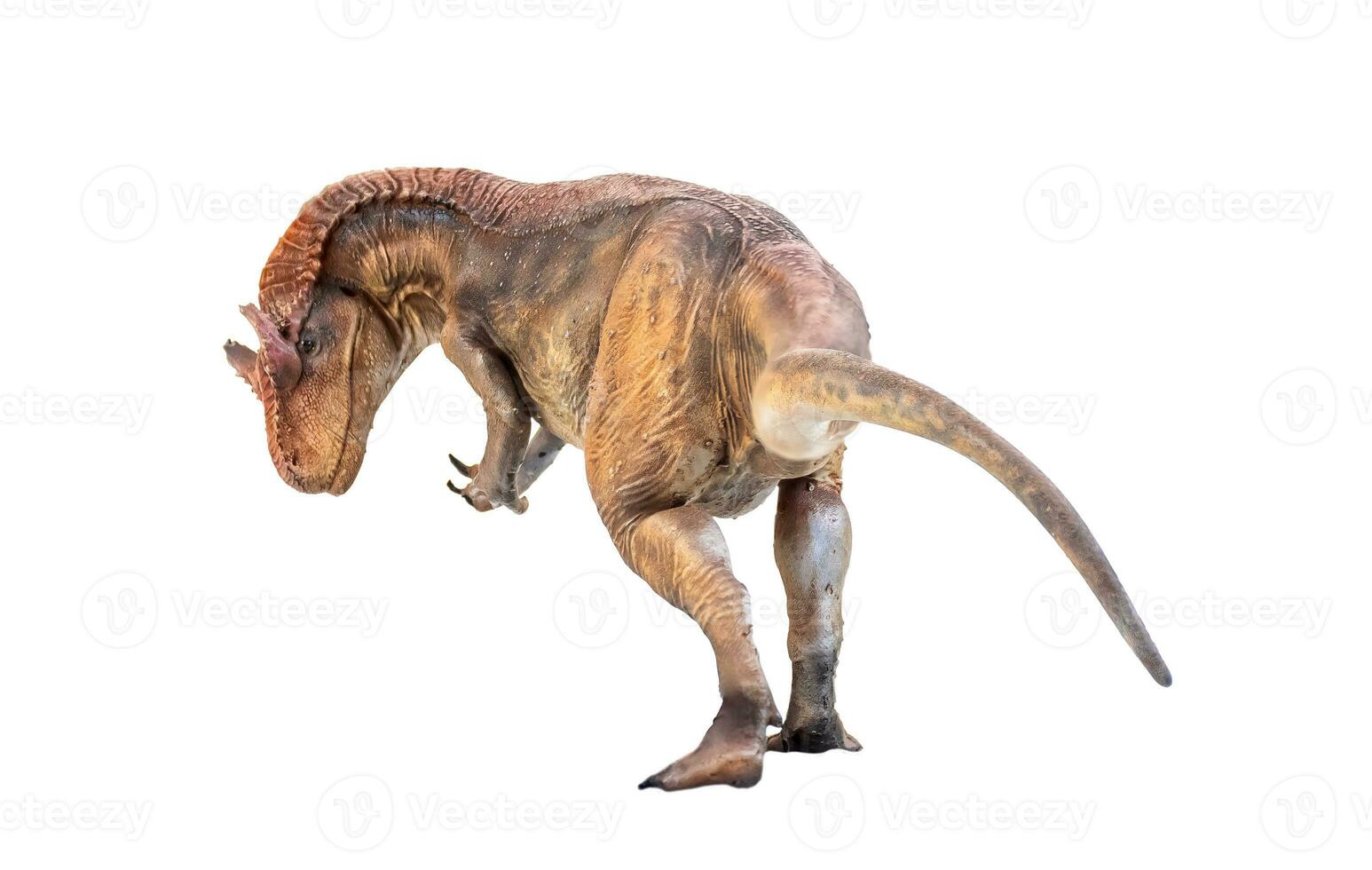 dinosaurus , allosaurus Aan geïsoleerd achtergrond foto