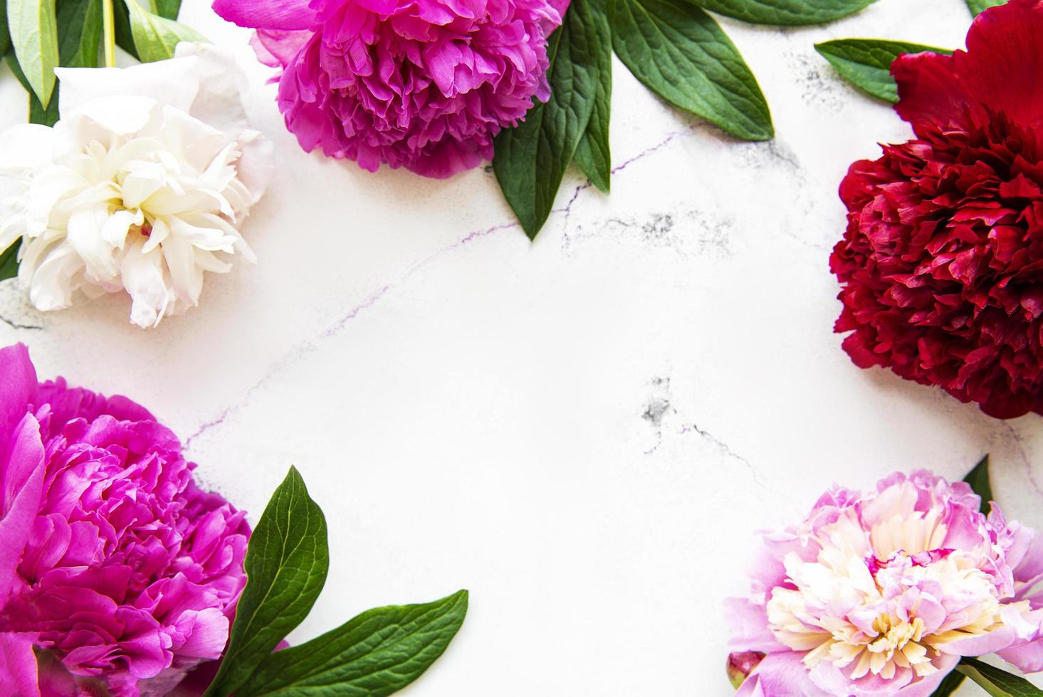 peony bloemen op een marmeren achtergrond foto