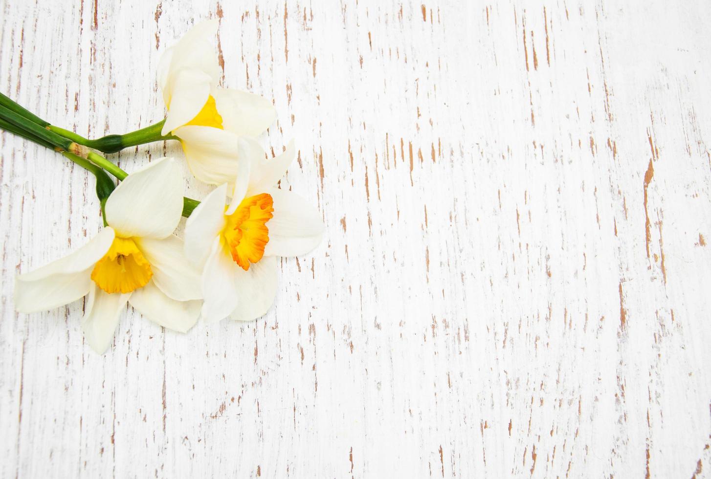 narcis bloemen op een houten achtergrond foto