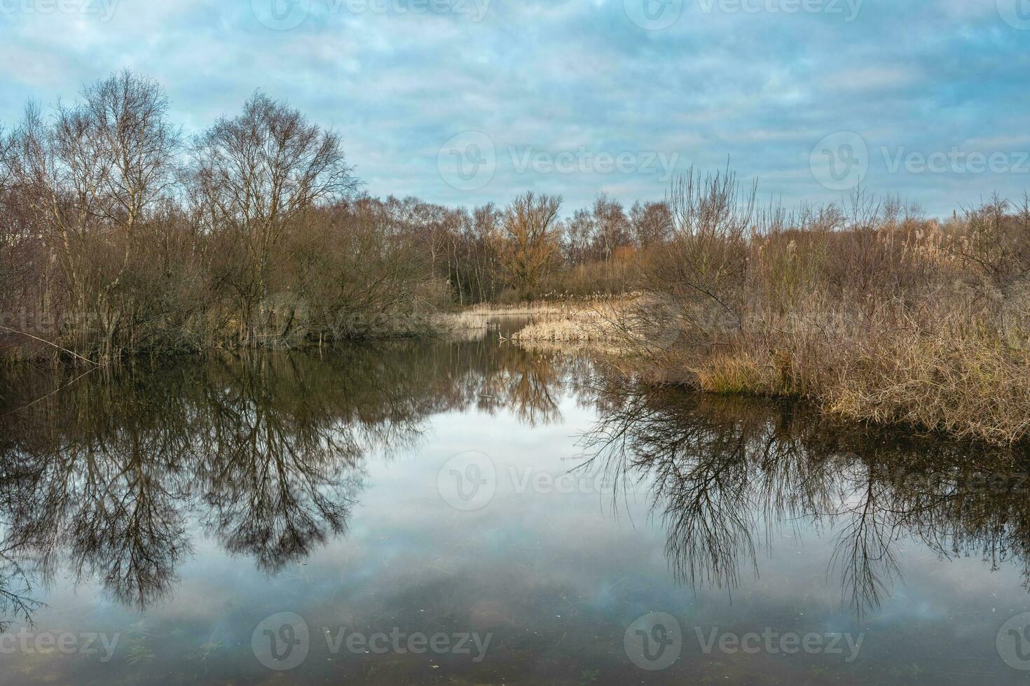 waalsdorpervlakte, landschap in de Den Haag, de nederland. foto