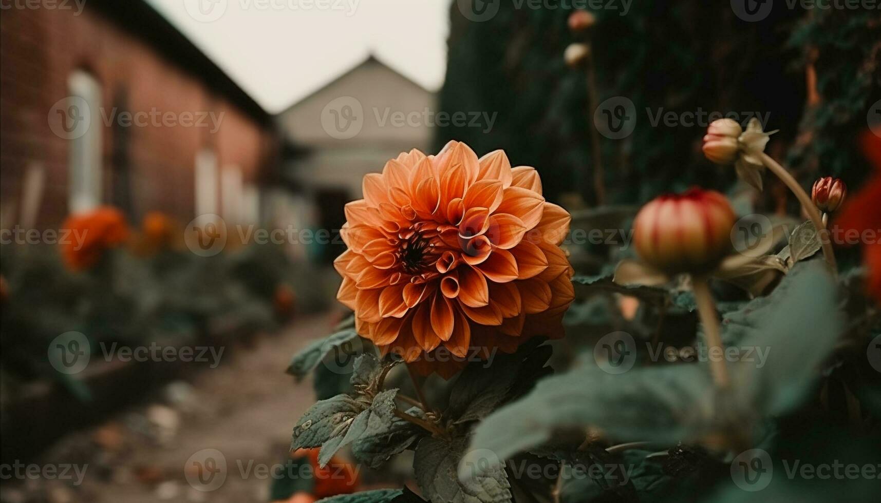 levendig multi gekleurde bloemen bloeien in natuur schoonheid buitenshuis gegenereerd door ai foto