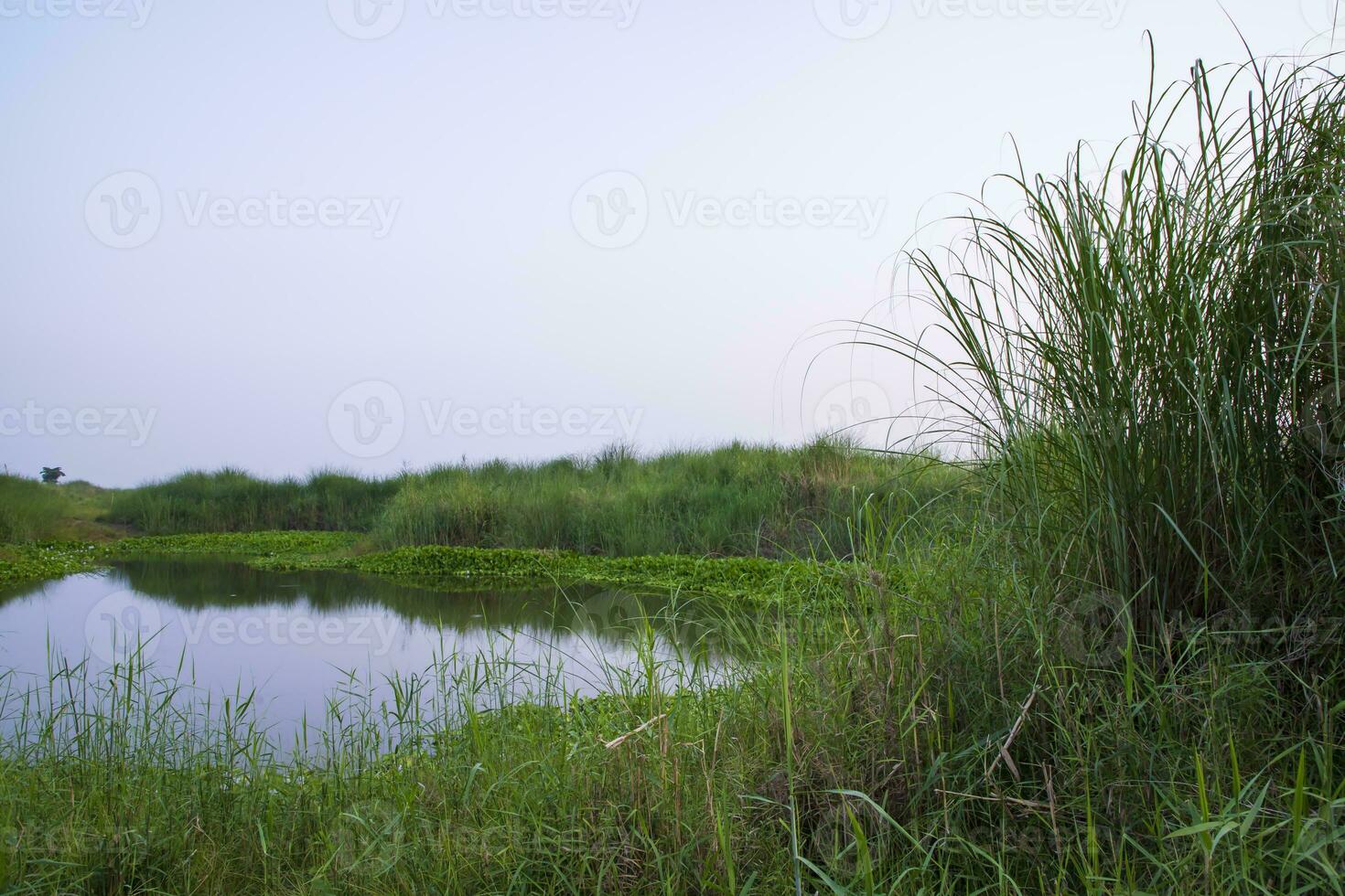 meer water met groen gras landschap visie van onder de blauw lucht foto