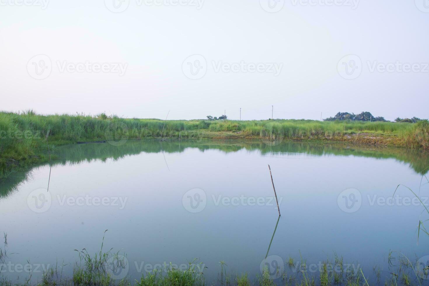meer water met groen gras landschap visie van onder de blauw lucht foto