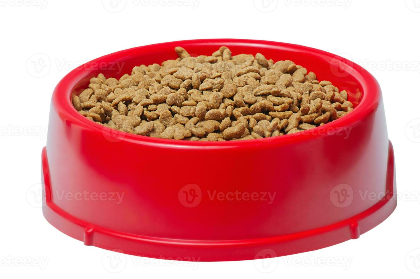 droog voedsel voor honden of katten in een rood kom isoleren Aan wit. evenwichtig voeding voor huisdieren. foto