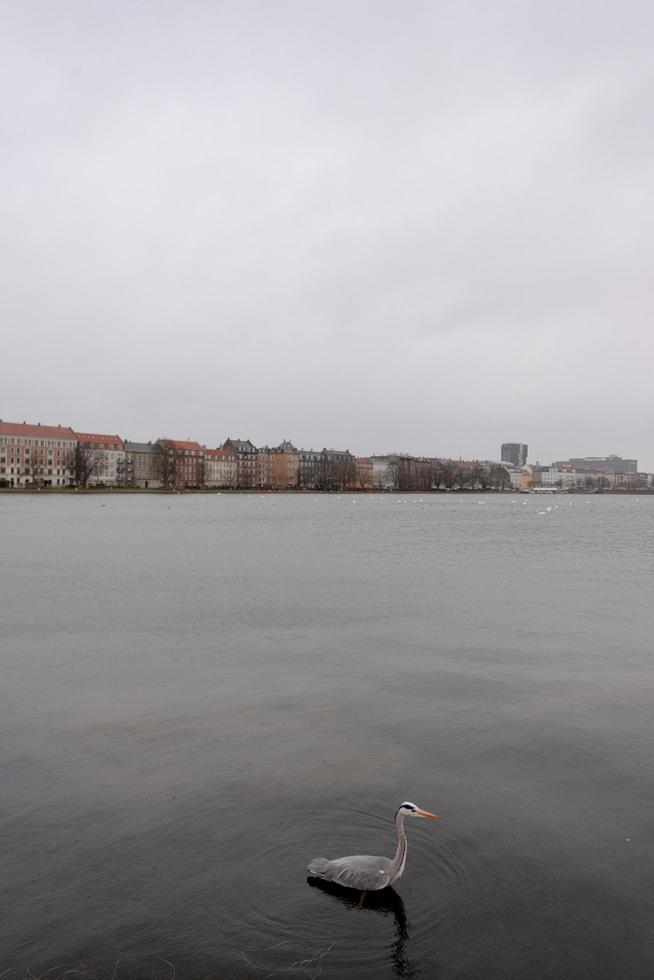 uitzicht op de rivier van Kopenhagen foto