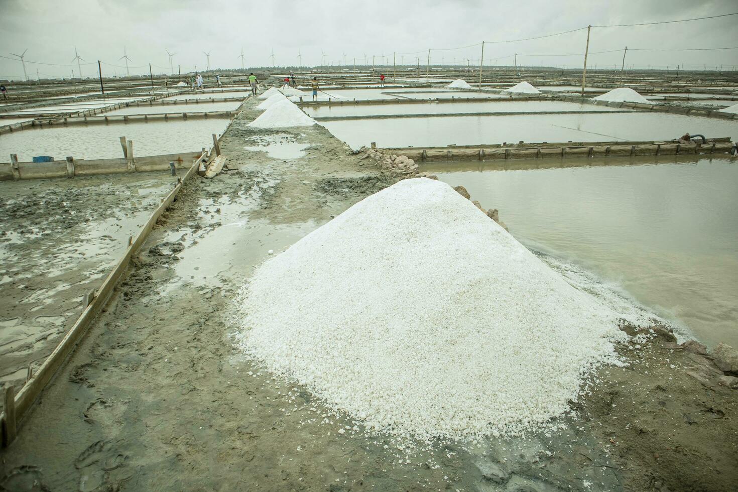 zout boerderij in sri lanka . zout landbouw in sri lanka. zout productie. foto