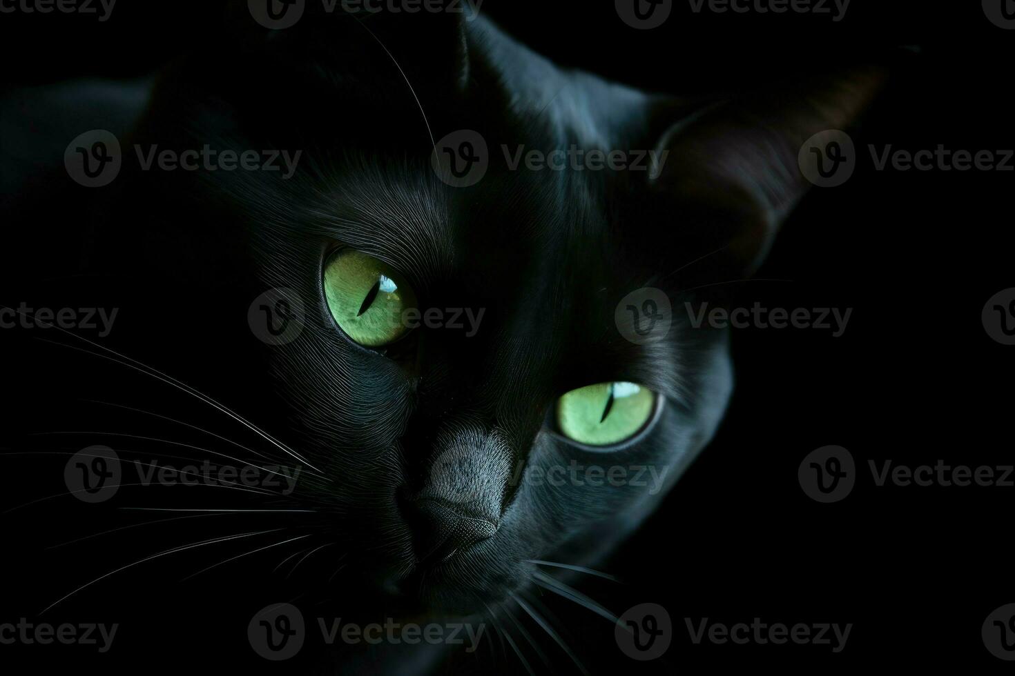 ai gegenereerd minimalistische portret van een strak zwart kat, met doordringend groen ogen en subtiel schaduwen. foto