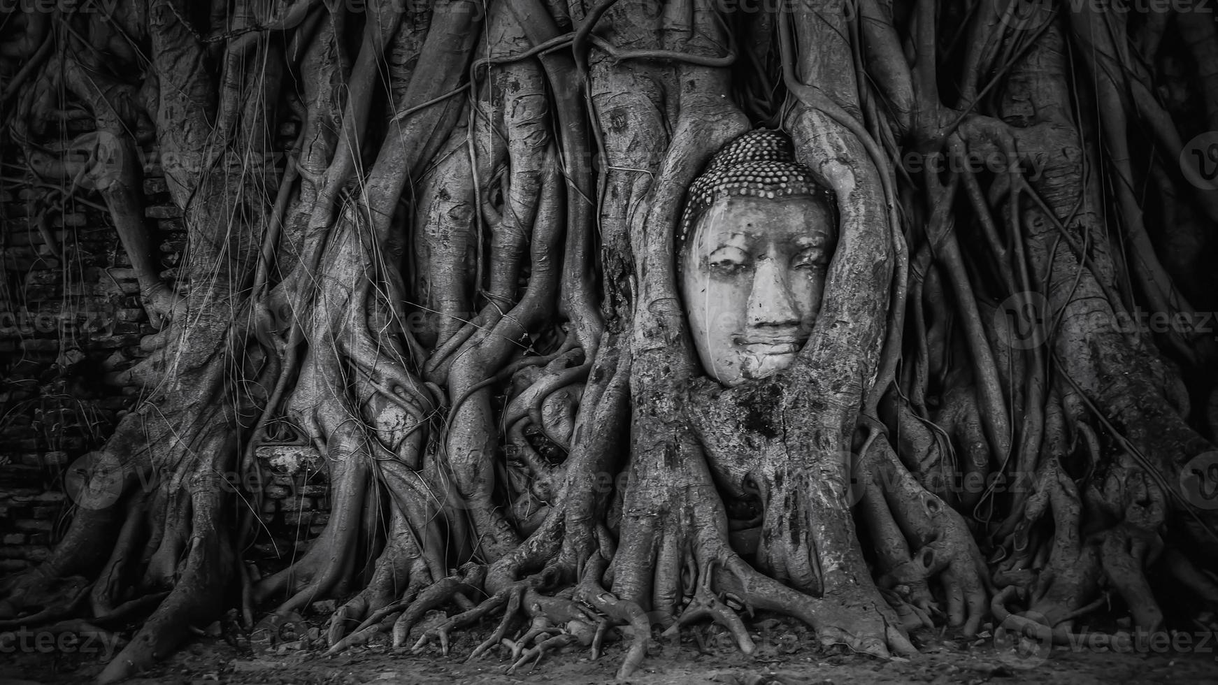 boeddha hoofd in wat mahathat ayutthaya foto