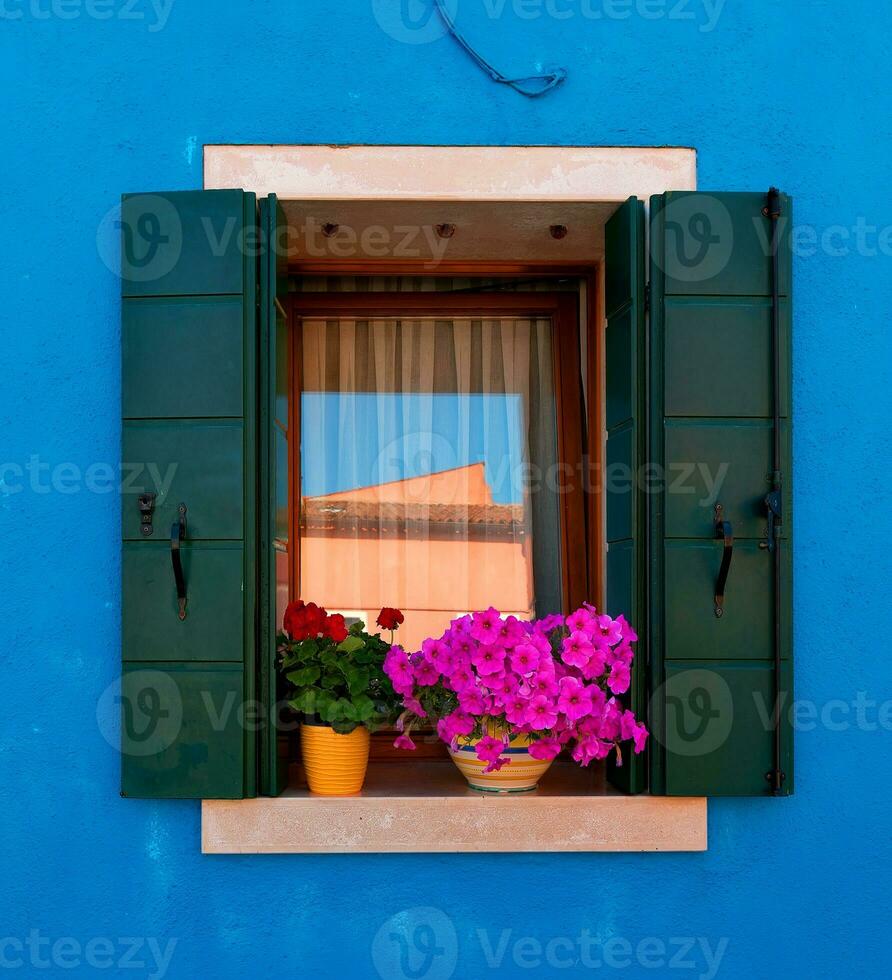 raam met bloemen foto