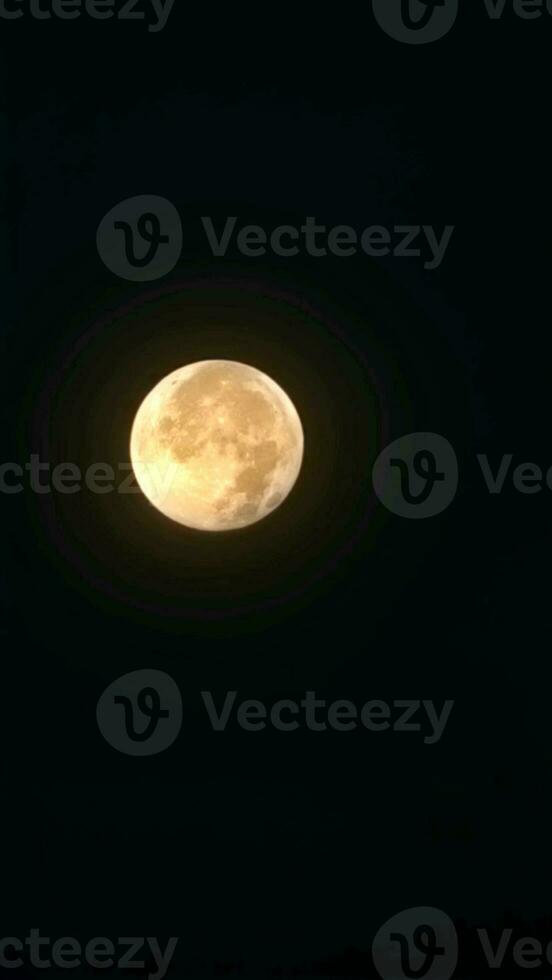 volle maan aan de nachtelijke hemel foto