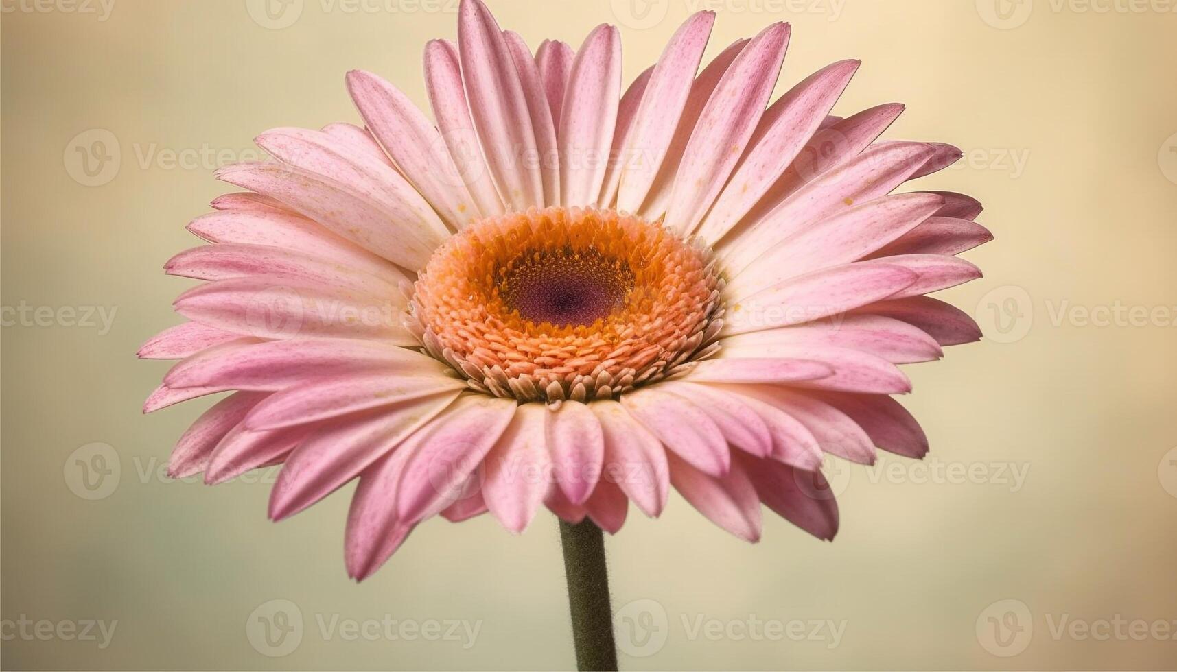 levendig geel madeliefje hoofd, een geschenk van zomer schoonheid gegenereerd door ai foto