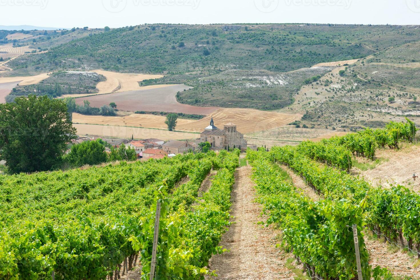 veld- van wijngaarden in kasteelheer plateau in Spanje met dorp in de achtergrond foto