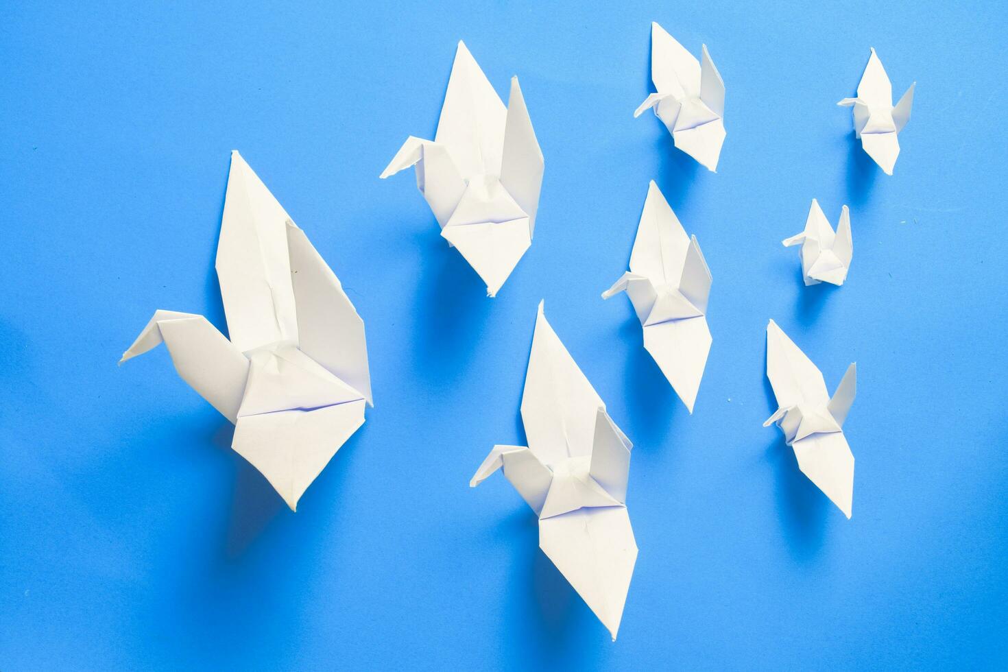 wit vogel origami papier Aan blauw achtergrond. vogel vrede, vrijheid of mogelijkheden concept foto