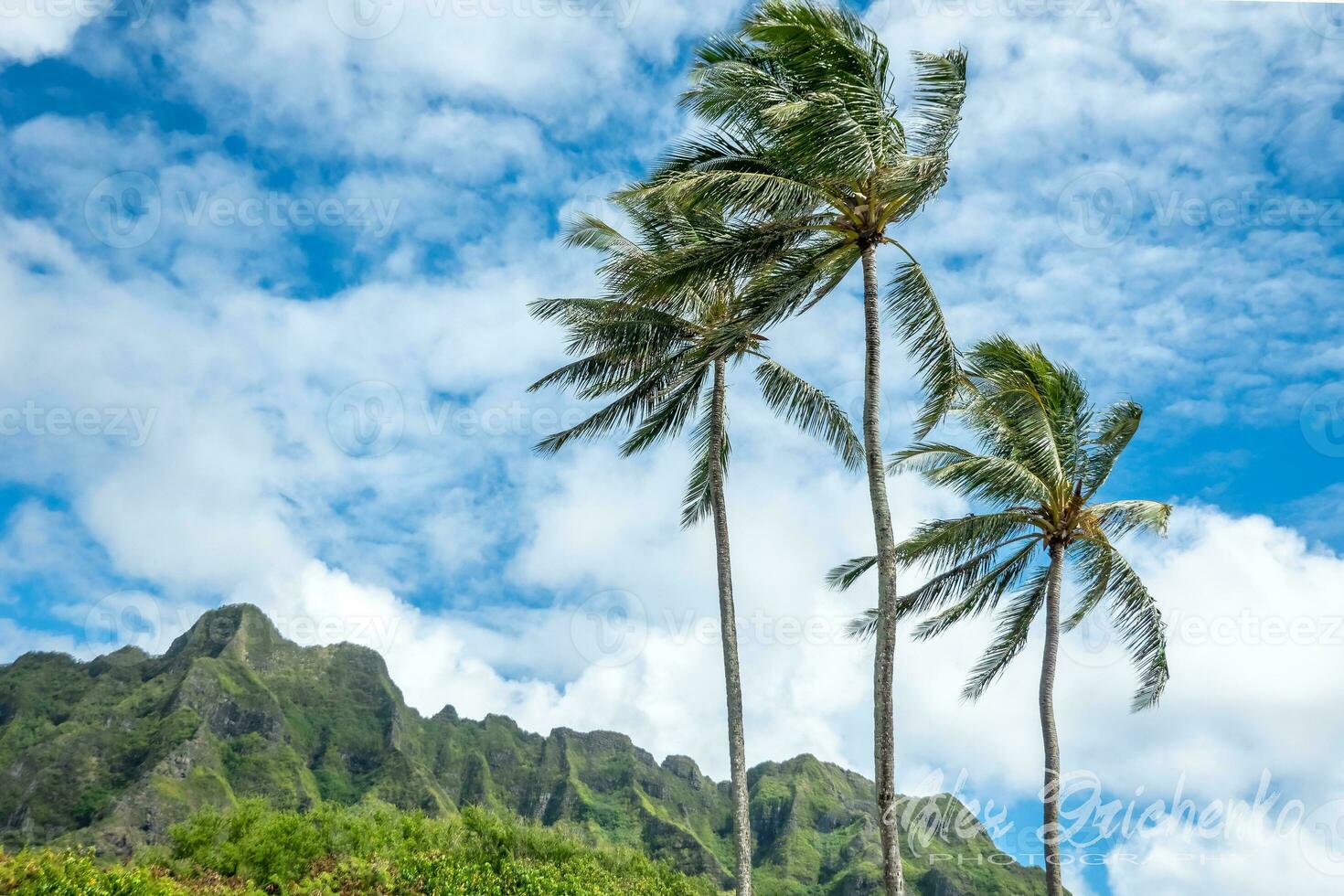 kuala berg reeks panoramisch visie, beroemd filmen plaats Aan oahu eiland, Hawaii foto