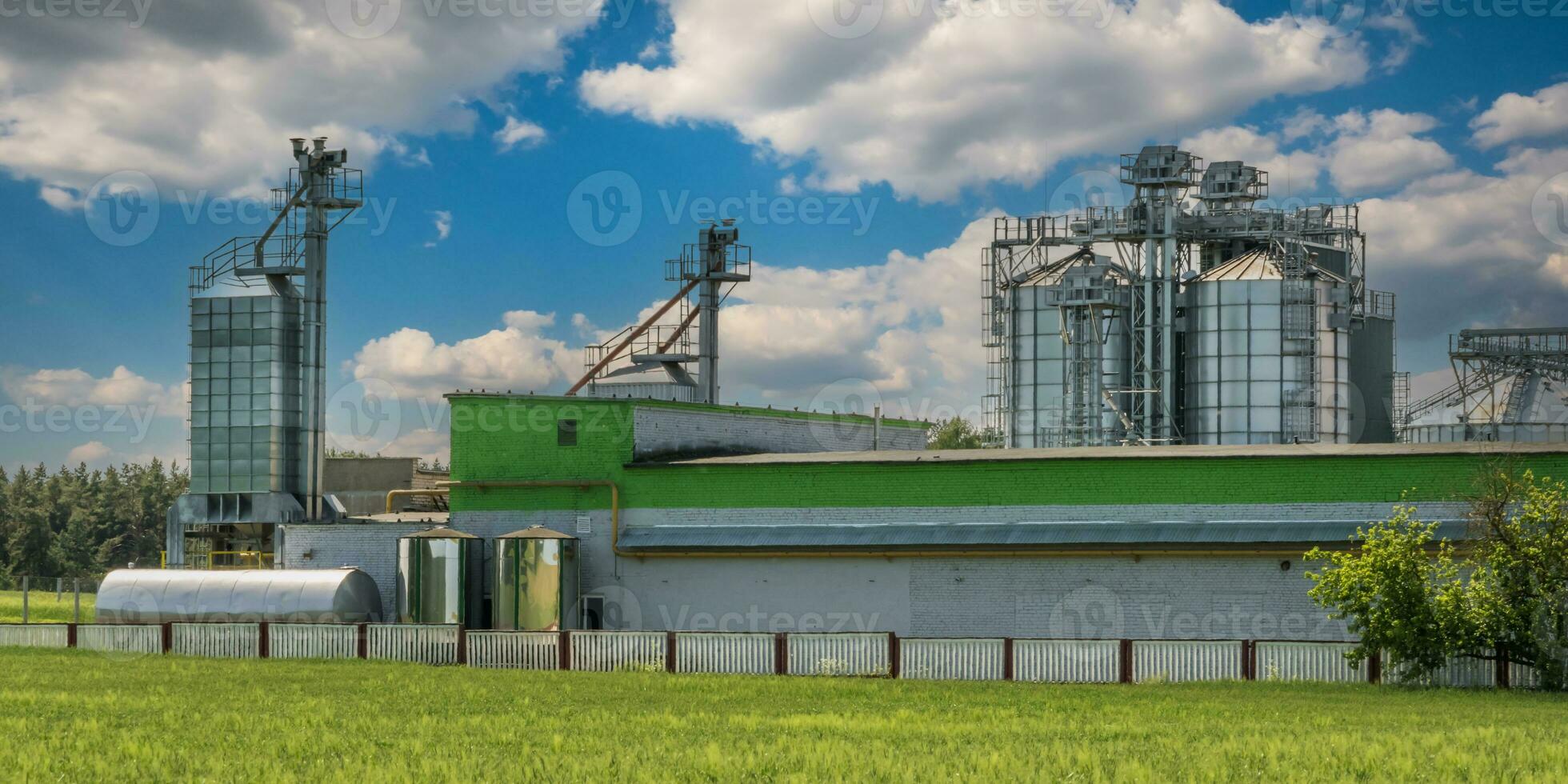 agro silo's Aan agro-industrieel complex en graan drogen en zaden schoonmaak lijn. foto