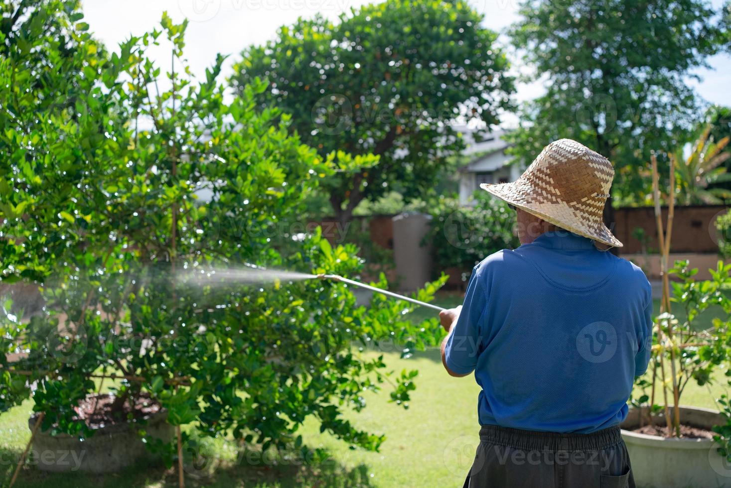 senior boer spuit biologisch insecticide op lindeboom in boomgaard foto