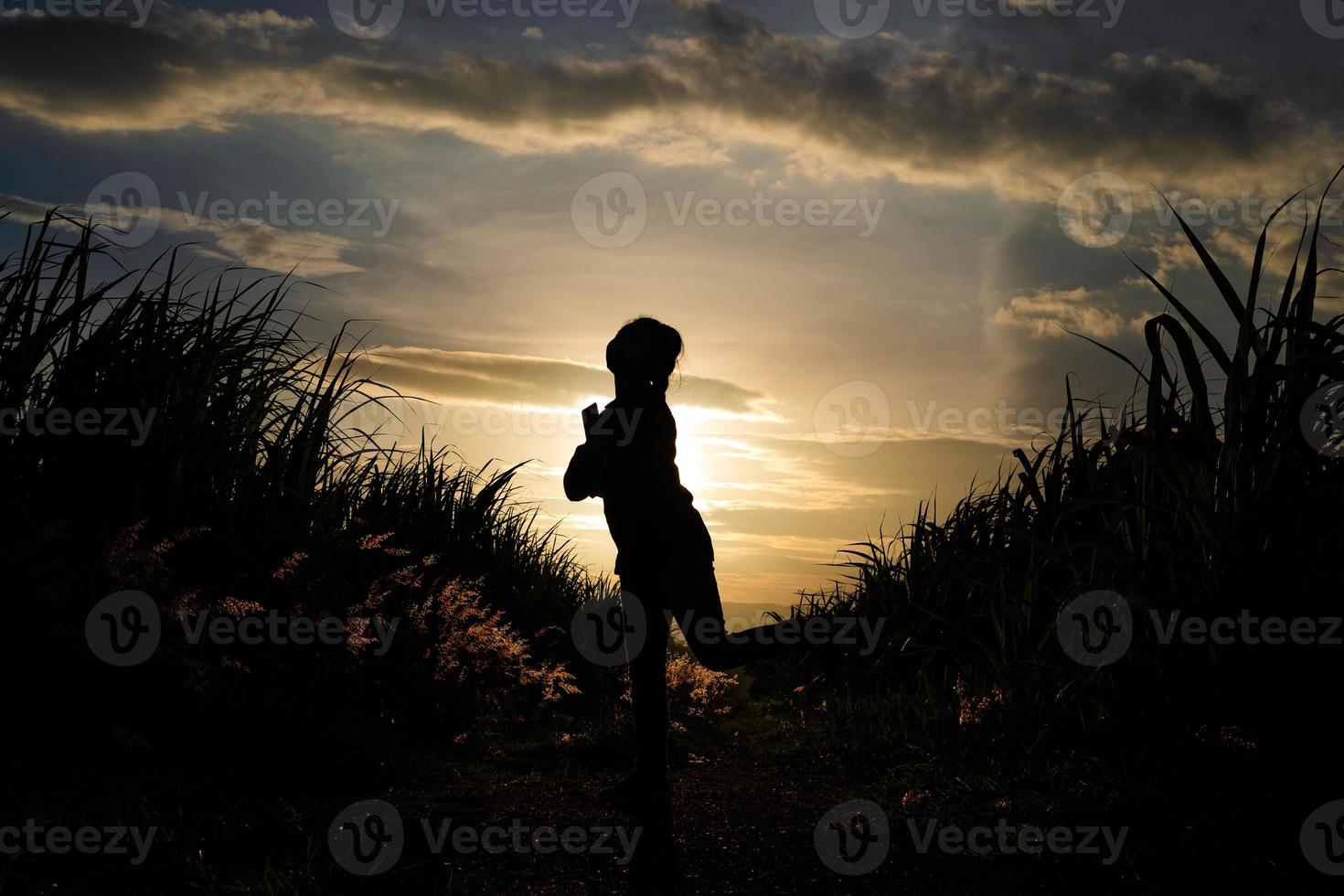 boer vrouw silhouet staande in de suikerriet plantage op de achtergrond zonsondergang avond foto