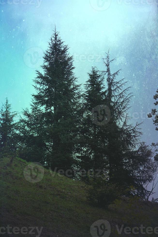 bomen in het uitzicht op het berglandschap foto