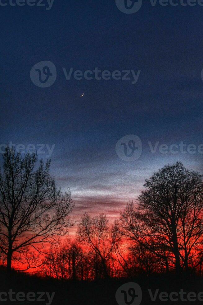 avond lucht met rood wolken en zonsondergang zon en zwart bladerloos bomen foto