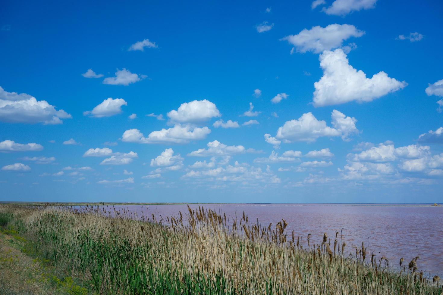 natuurlijk landschap met roze zoutmeer foto