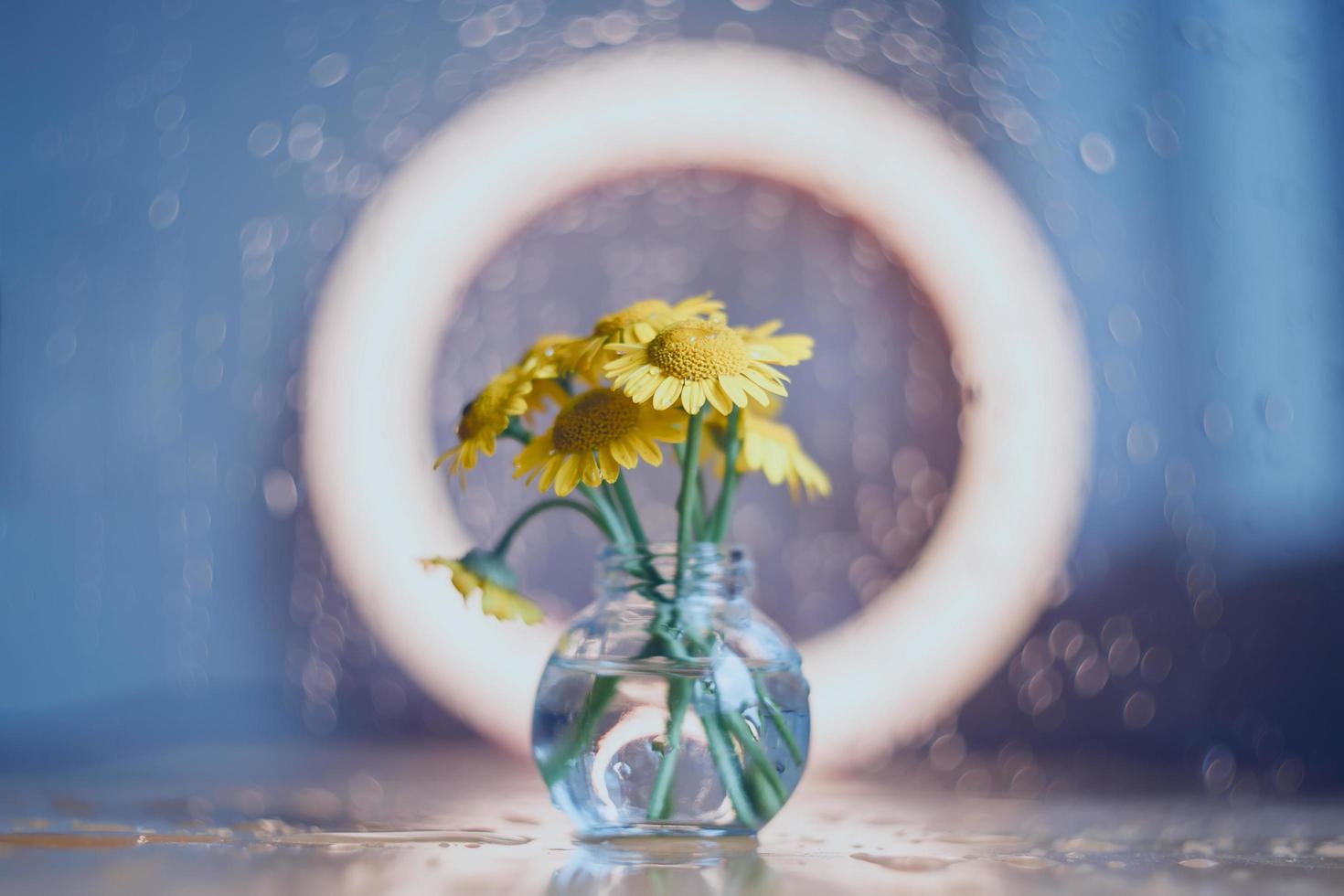 gele madeliefjes in een glazen vaas foto