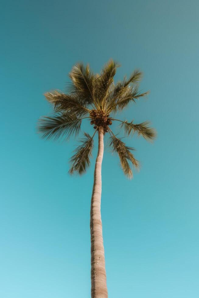 palm tropisch achtergrond. illustratie ai generatief foto