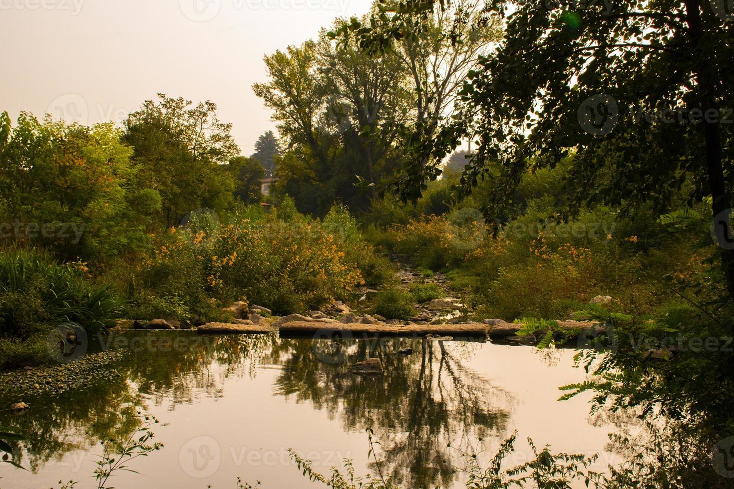 bomen weerspiegeld in water foto