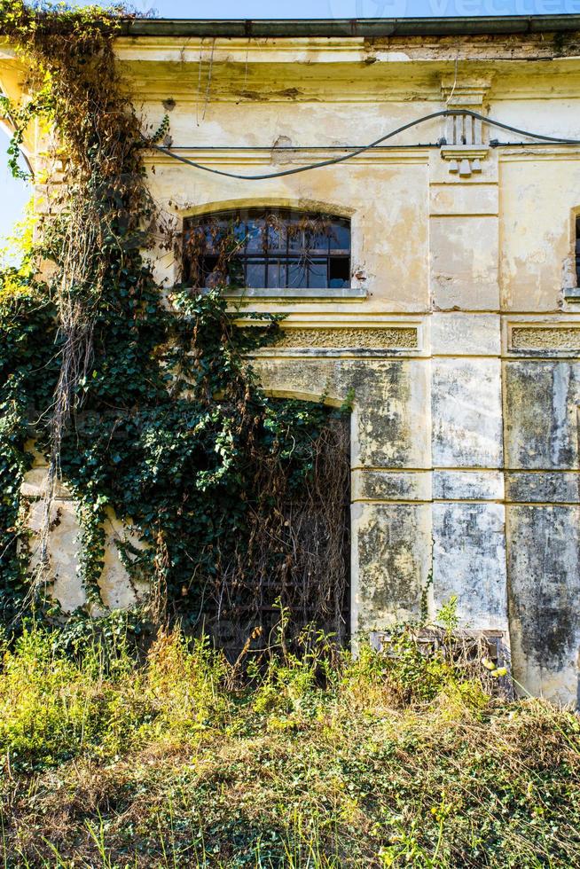 verlaten gebouw met klimop foto