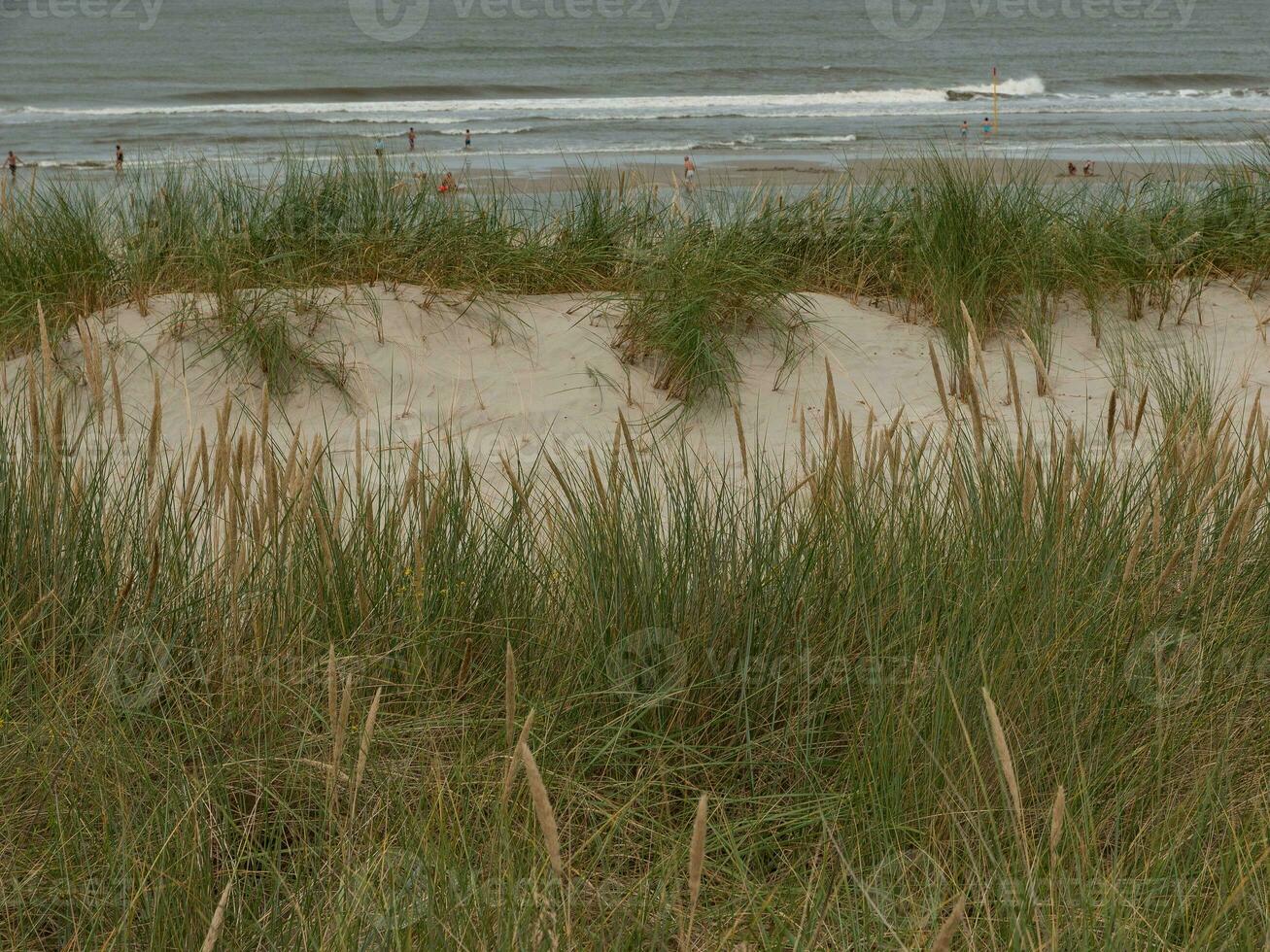 eiland spiekeroog in duitsland foto