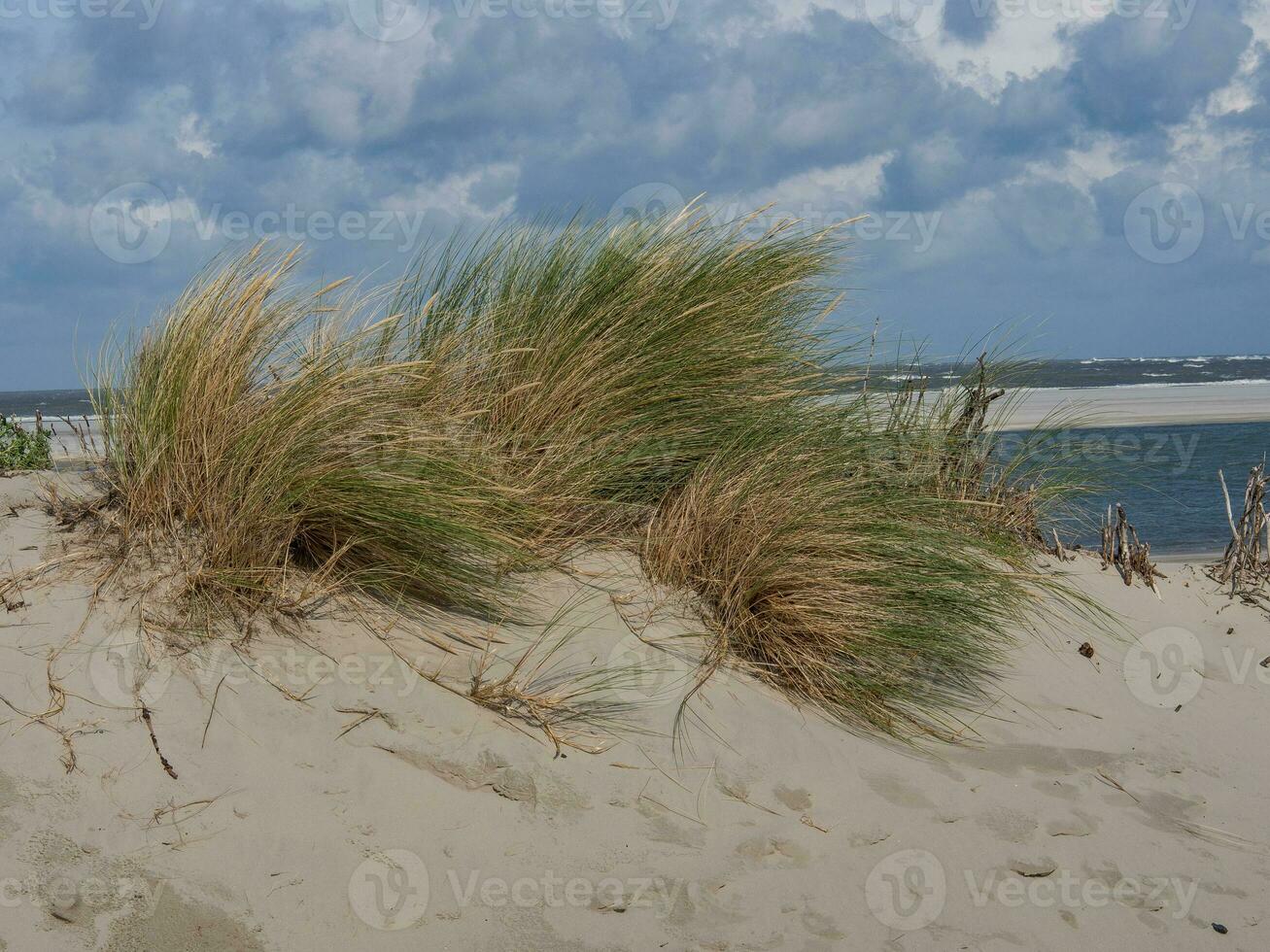 strand en duinen van spiekeroog foto