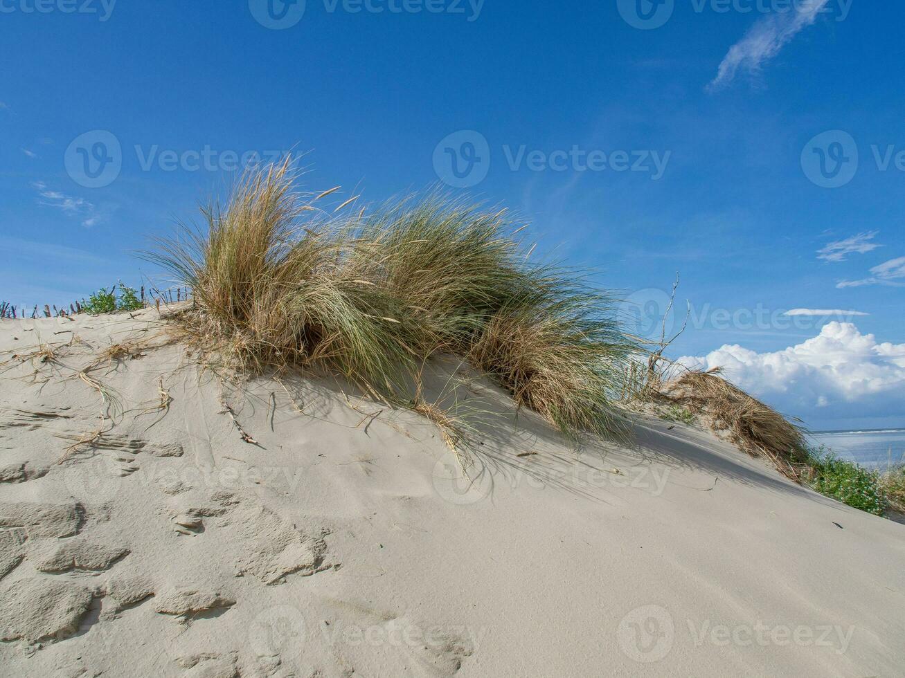 het eiland Spiekeroog foto