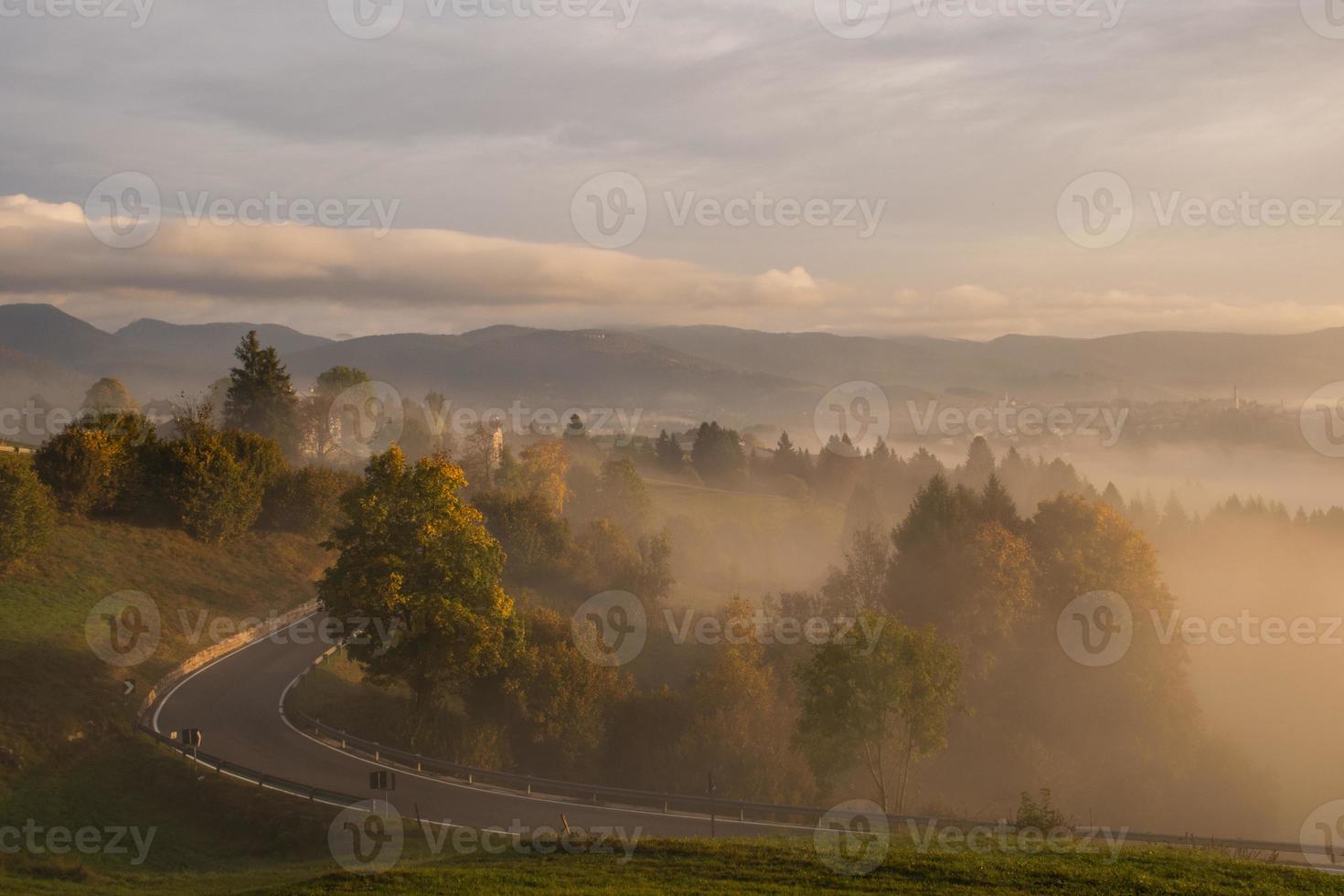 mist over een weg en bos foto