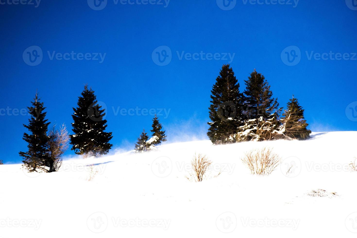 blauwe lucht op een besneeuwd landschap foto