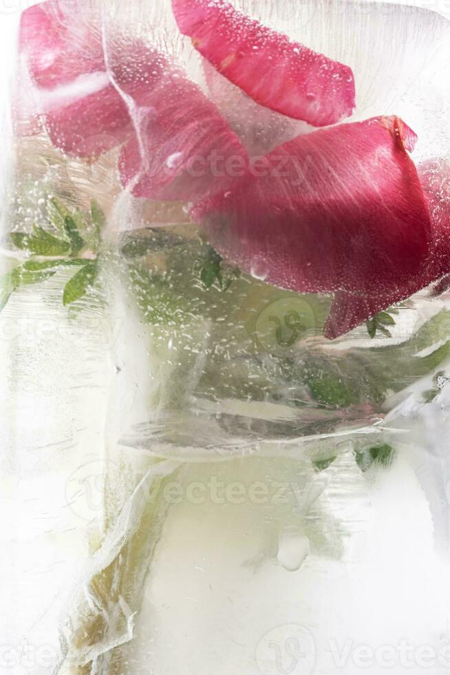 transparant wit ijs met bloemen bevroren in het. foto