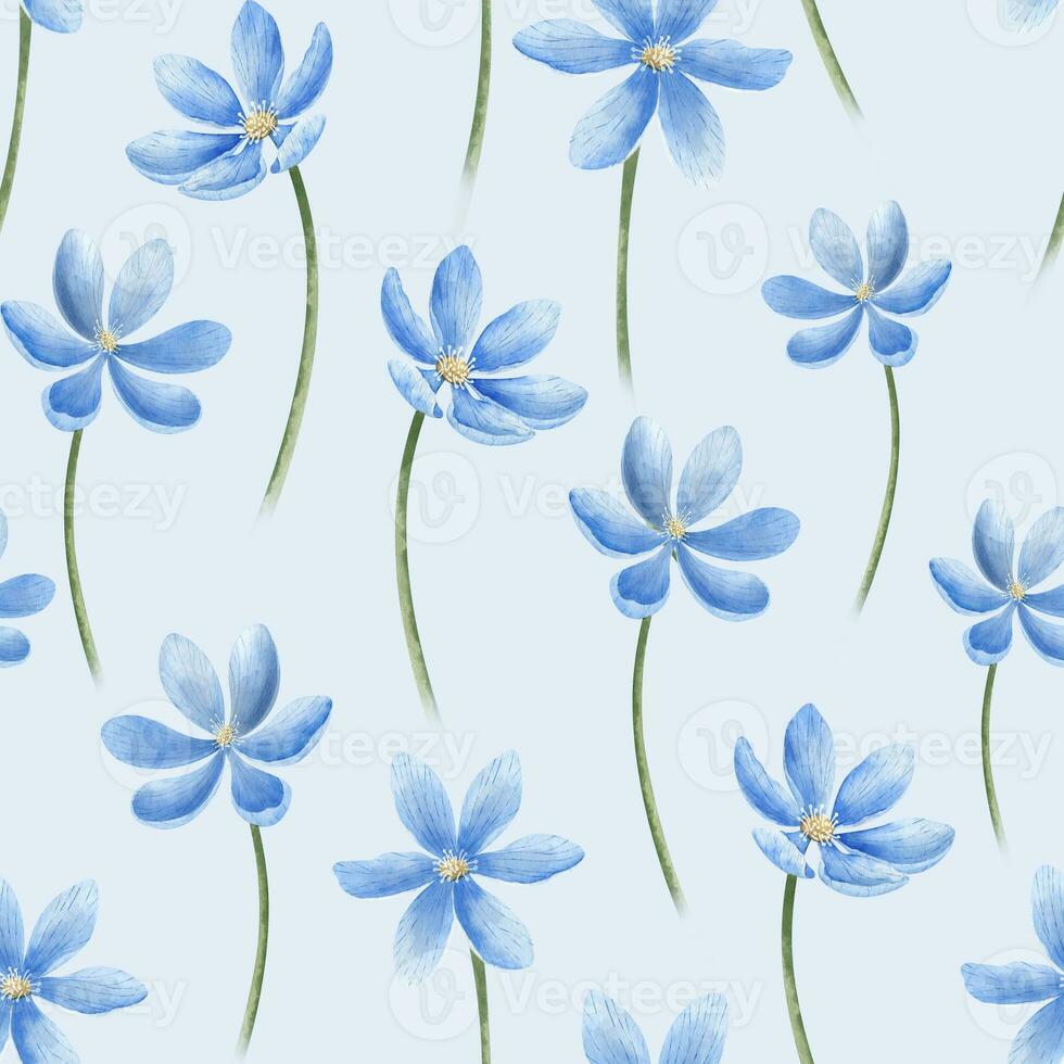 naadloos bloemen patroon met blauw bloemen. hand- getrokken waterverf illustratie van afdrukken met wild Woud planten Aan geïsoleerd achtergrond. botanisch backdrop met madeliefje voor omhulsel papier of textiel foto