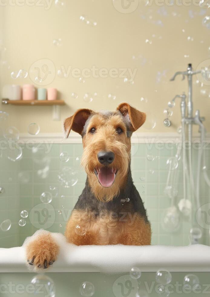 schattig airedale terriër hond in een klein bad met zeep schuim en bubbels, schattig pastel kleuren, generatief ai. foto