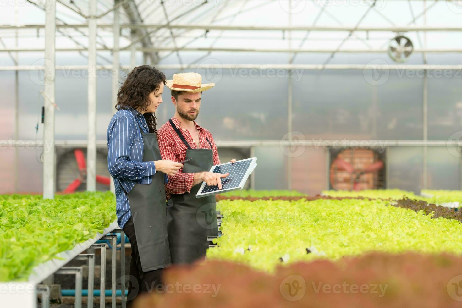 klein mensen uit het bedrijfsleven met de missie van installeren een klein zonne- cel paneel voor de elektrisch systeem van de biologisch groente tuin. foto