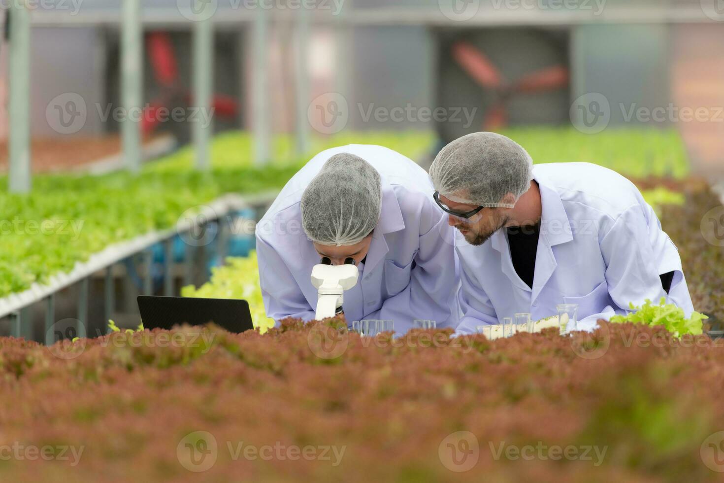 wetenschappers zijn dirigeren Onderzoek en ontwikkeling Aan de teelt van biologisch groenten in een Gesloten boerderij. foto