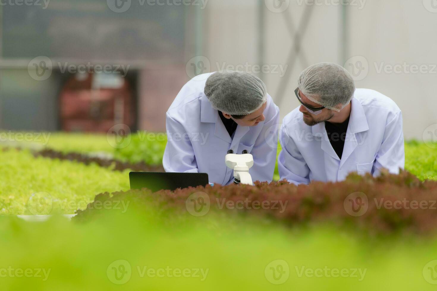 wetenschappers zijn dirigeren Onderzoek en ontwikkeling Aan de teelt van biologisch groenten in een Gesloten boerderij. foto