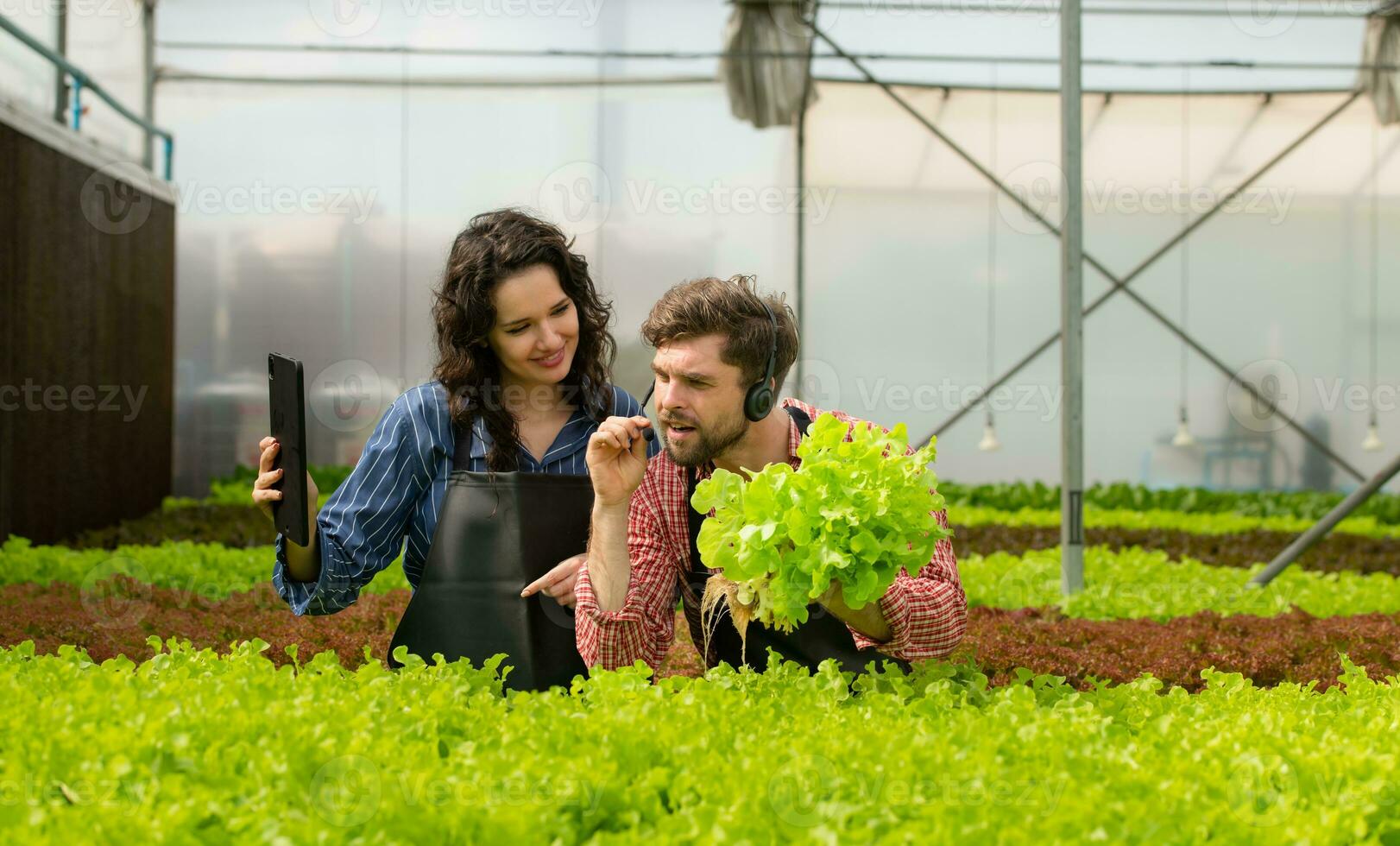 twee klein mensen uit het bedrijfsleven biologisch groente tuin eigenaar momenteel introduceren klanten en tonen hen zijn biologisch groente tuin via online systeem. foto