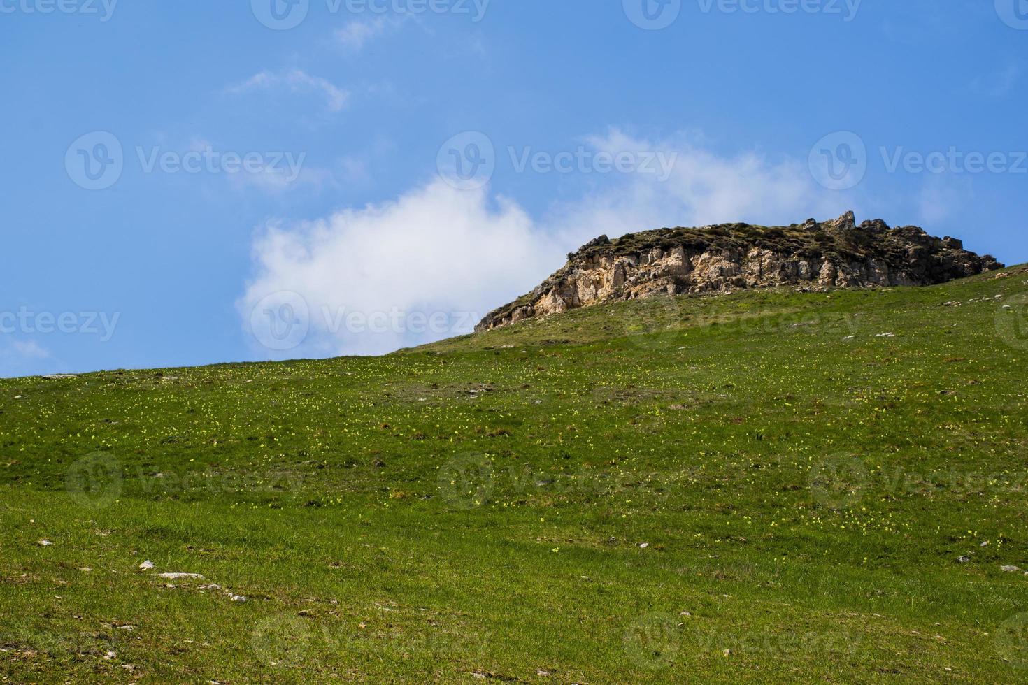 plateau en groene weide foto